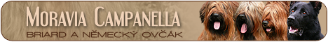 banner Moravia Campanella Briard a nmeck ovk